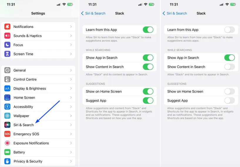 siri and search
