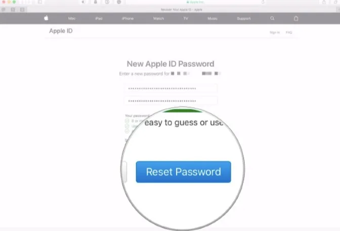 forgot apple id or password